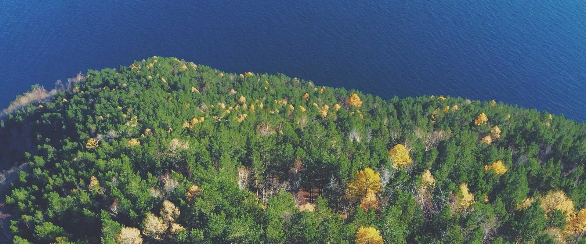 Logística internacional